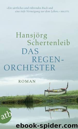 Das Regenorchester by Hansjörg Schertenleib