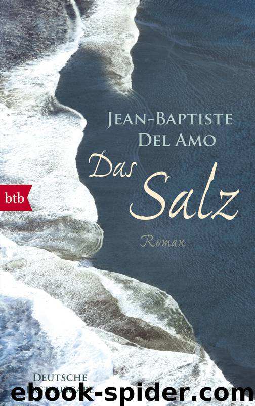 Das Salz by Del Amo Jean-Baptiste