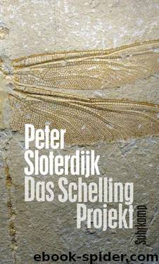 Das Schelling-Projekt by Sloterdijk Peter