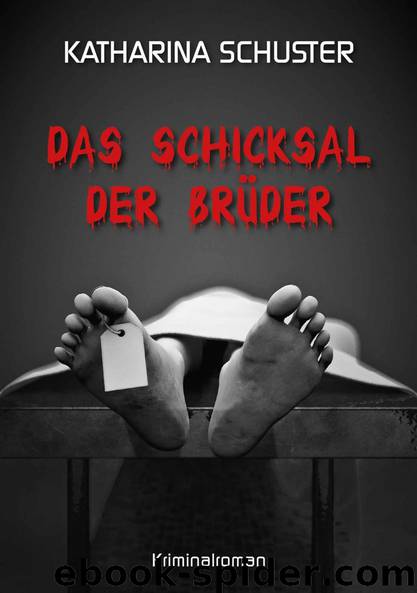 Das Schicksal der Brüder by Schuster Katharina