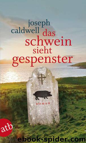 Das Schwein sieht Gespenster: Roman (German Edition) by Joseph Caldwell