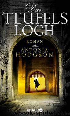 Das Teufelsloch: Roman (German Edition) by Hodgson Antonia