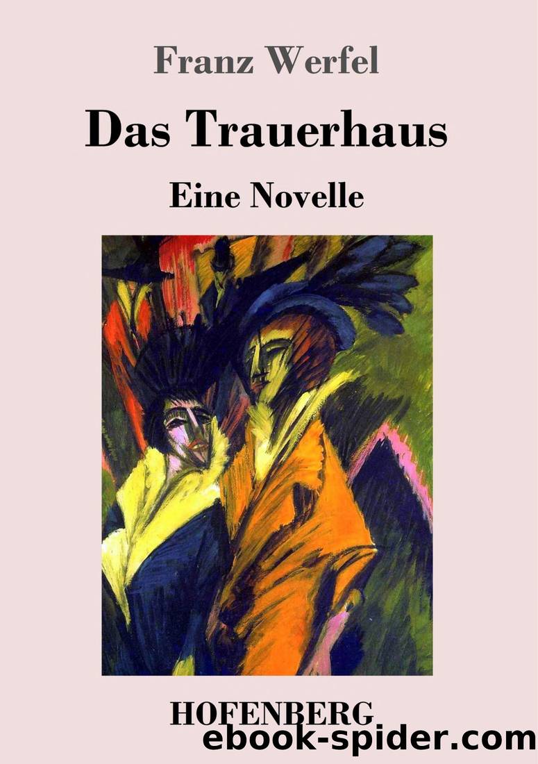 Das Trauerhaus: Eine Novelle by Franz Werfel