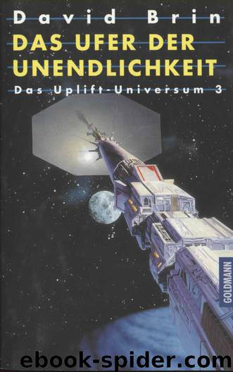 Das Ufer der Unendlichkeit by David Brin