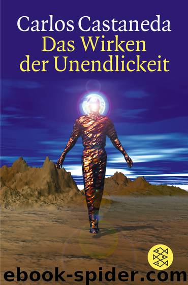 Das Wirken der Unendlichkeit by Castaneda Carlos