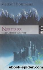 Das Zeitalter der Wandlung 01 - Nebelriss by Markolf Hoffmann