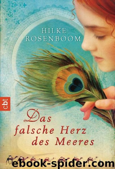 Das falsche Herz des Meeres by Hilke Rosenboom