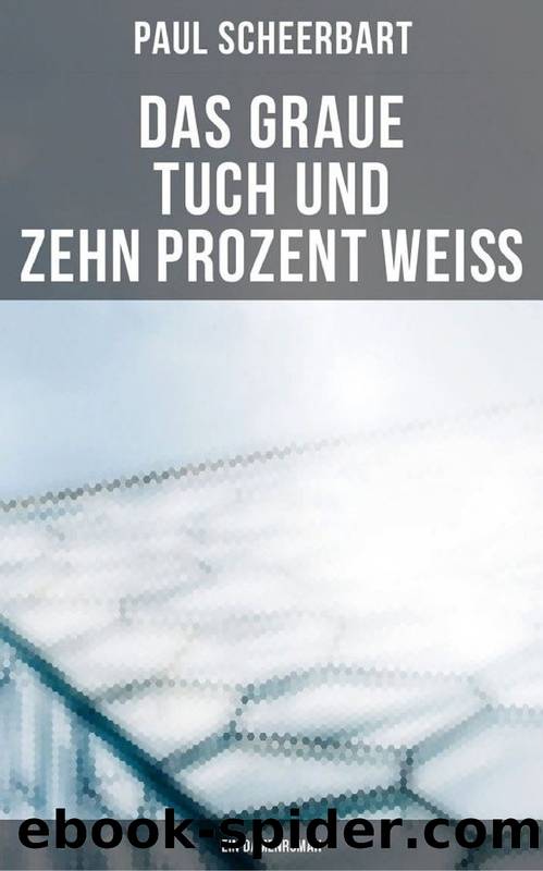 Das graue Tuch und zehn Prozent WeiÃ : Ein Damenroman by Paul Scheerbart