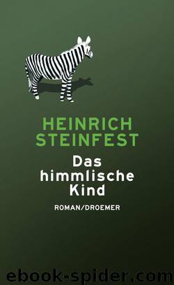 Das himmlische Kind by Heinrich Steinfest