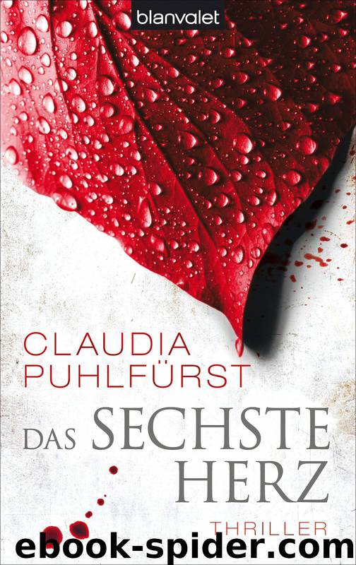 Das sechste Herz by Puhlfürst Claudia