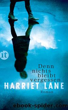 Denn nichts bleibt vergessen by Lane Harriet