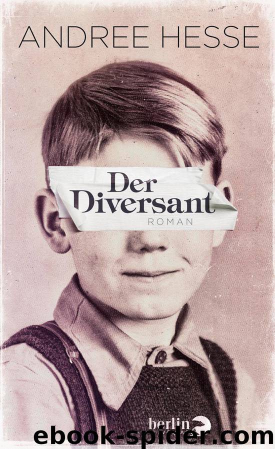 Der Diversant by Hesse Andree