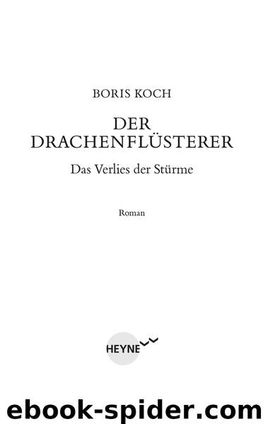 Der Drachenflüsterer - Das Verlies der Stürme by Boris Koch