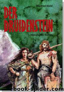 Der Druidenstein by Manfred Böckl