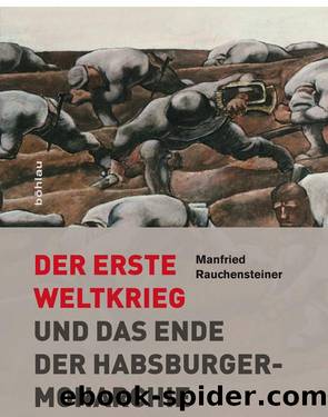 Der Erste Weltkrieg und das Ende der Habsburgermonarchie 1914â1918 by Manfried Rauchensteiner