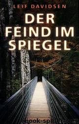 Der Feind im Spiegel by Leif Davidsen