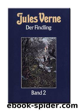 Der Findling Band 2 by Verne Jules