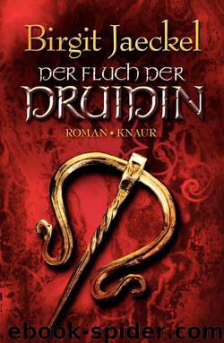 Der Fluch der Druidin by Birgit Jaeckel