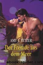 Der Fremde aus dem Meer by Amy J. Fetzer