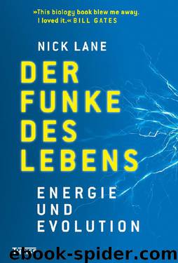 Der Funke des Lebens by Lane Nick