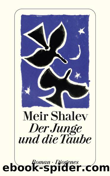 Der Junge und die Taube by Shalev Meir