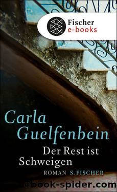 Der Rest ist Schweigen. Roman by Carla Guelfenbein