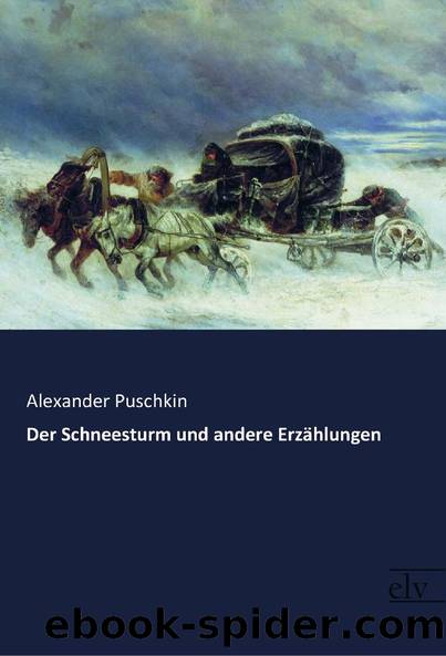 Der Schneesturm und andere Erzählungen by Alexander Puschkin