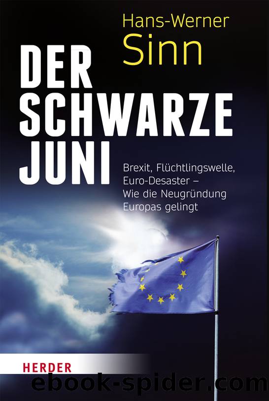 Der Schwarze Juni by Hans-Werner Sinn