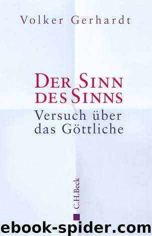 Der Sinn des Sinns by Gerhardt Volker