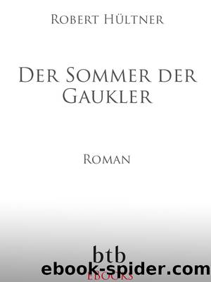 Der Sommer der Gaukler by Robert Hueltner