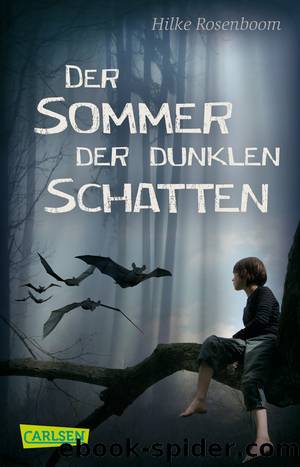 Der Sommer der dunklen Schatten by Hilke Rosenboom