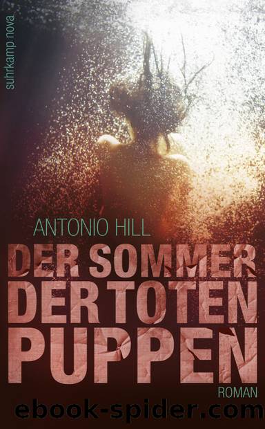 Der Sommer der toten Puppen by Hill Antonio