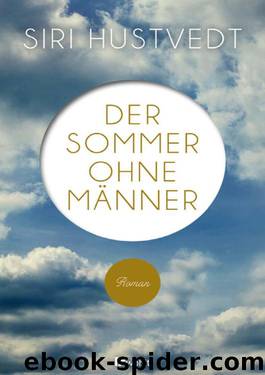 Der Sommer ohne Maenner by Hustvedt Siri