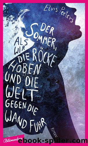 Der Sommer, als wir unsere Röcke hoben und die Welt gegen die Wand fuhr by Elvis Peeters