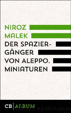 Der Spaziergänger von Aleppo by Niroz Malek