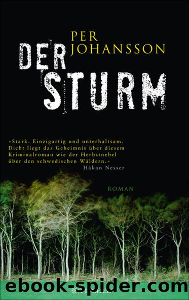 Der Sturm by Johansson Per