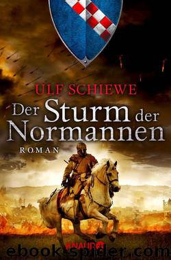 Der Sturm der Normannen: Roman (Die Normannensaga) by Ulf Schiewe