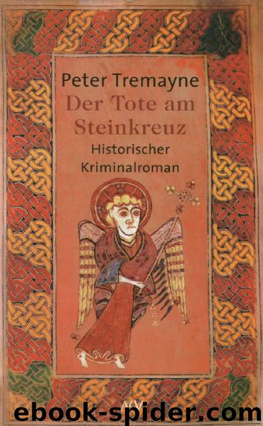 Der Tote am Steinkreuz by Peter Tremayne