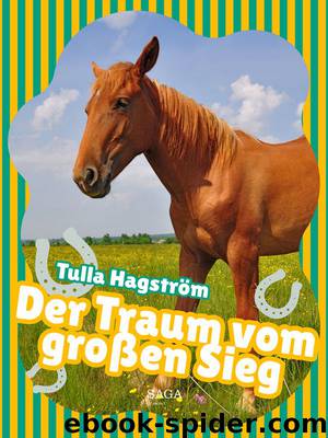 Der Traum vom großen Sieg by Tulla Hagström