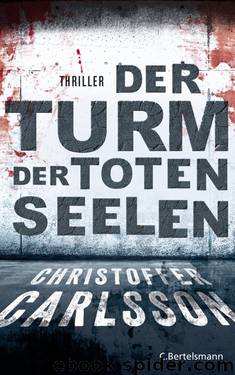 Der Turm der toten Seelen by Christoffer Carlsson