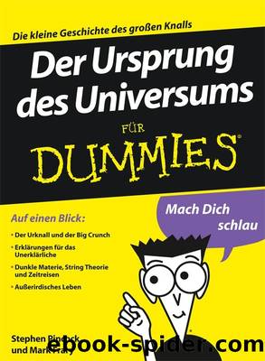 Der Ursprung des Universums für Dummies by Pincock Stephen