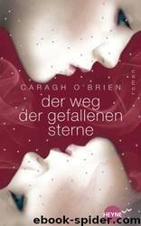 Der Weg der gefallenen Sterne: Roman by Caragh O'Brien & Oliver Plaschka