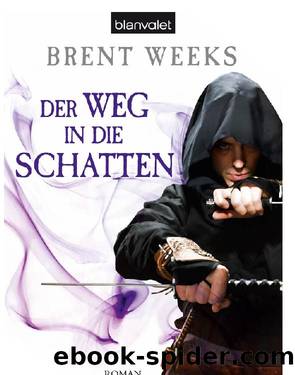 Der Weg in die Schatten - Night Angel 01 by Brent Weeks