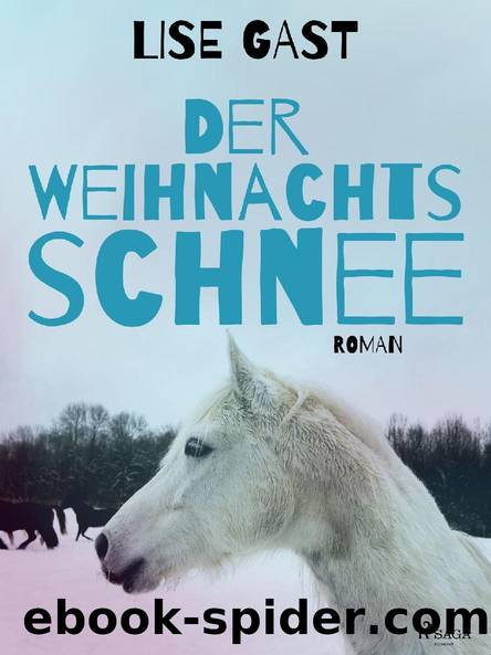 Der Weihnachtsschnee by Lise Gast