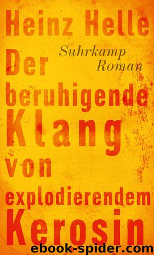 Der beruhigende Klang von explodierendem Kerosin - Roman by Helle Heinz