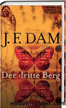 Der dritte Berg by J. F. Dam