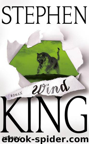 Der dunkle Turm Bd. 8 - Wind by Stephen King