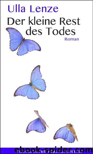 Der kleine Rest des Todes by Ulla Lenze