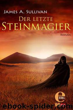 Der letzte Steinmagier (German Edition) by Sullivan James A