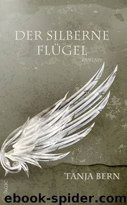 Der silberne Flügel by Tanja Bern